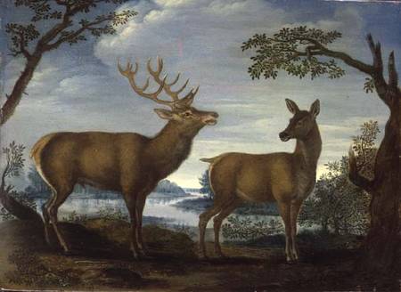 Stag and hind in a wooded landscape (panel) od German School