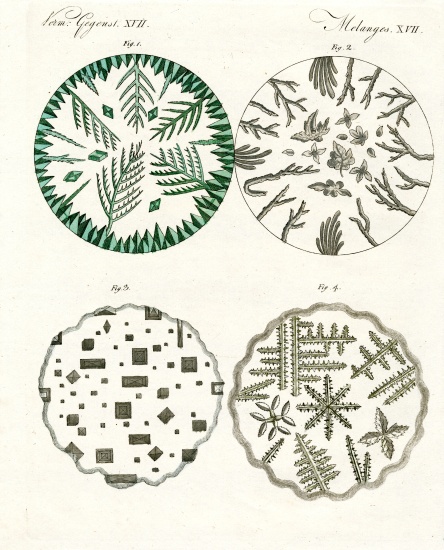 All kinds of salt crystals od German School, (19th century)