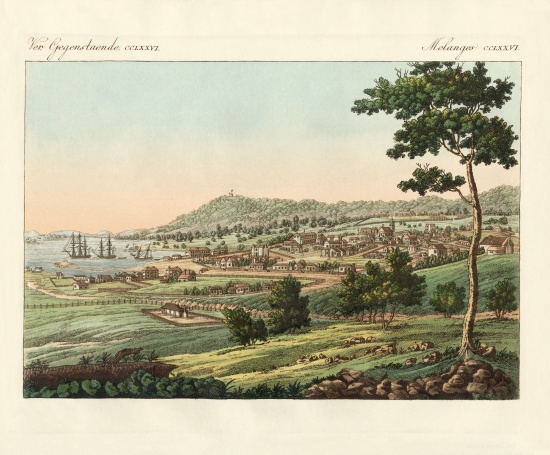 Hobart Town at Van Diemens Land od German School, (19th century)