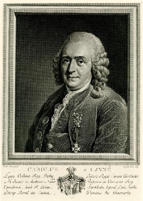 Karl von Linné