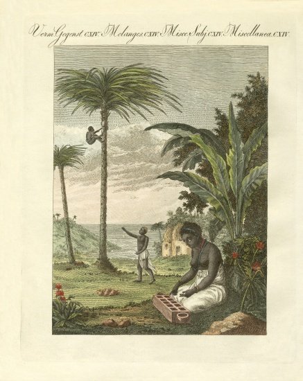 Scenes from Africa od German School, (19th century)