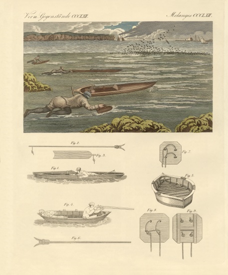 The hunting of waterbirds on the coasts of England od German School, (19th century)