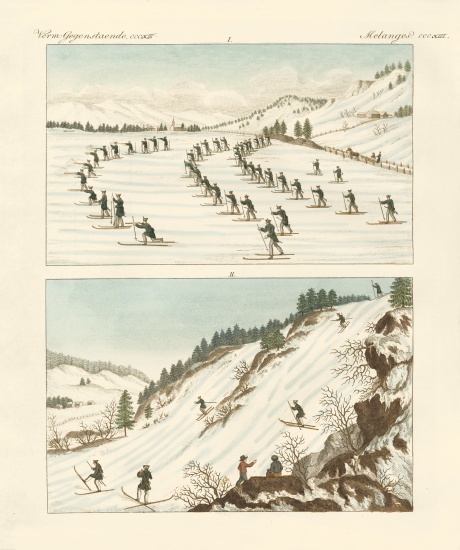 The regiment of skaters in Norway od German School, (19th century)