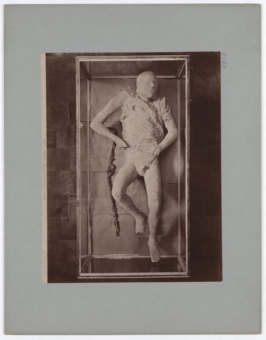Pompeii: (Museum) Corpse of a man, No. 5573 od Giacomo Brogi