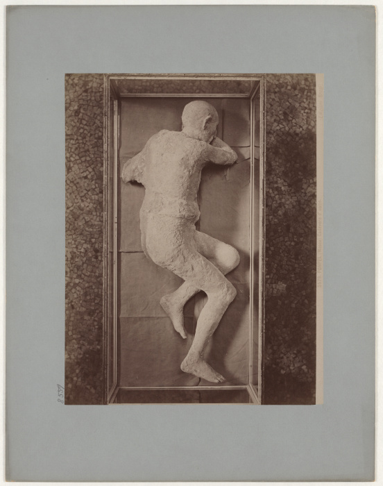 Pompeii: (Museum) Corpse of a man, No. 5579 od Giacomo Brogi
