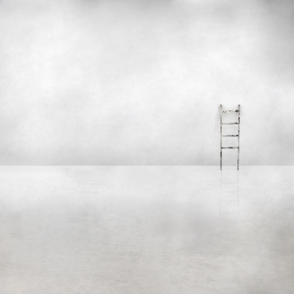 The social ladder od Gilbert Claes
