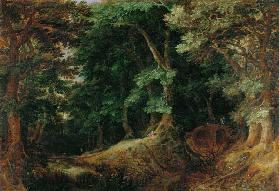 “lesní krajina”, 1598.