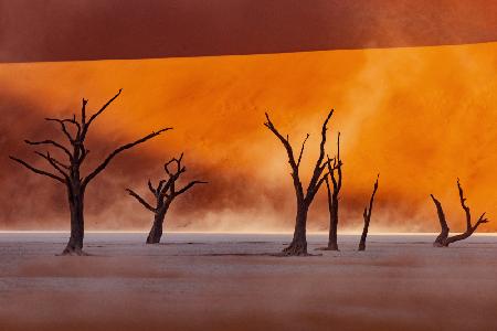 Namibia: The Spirit of Wilderness