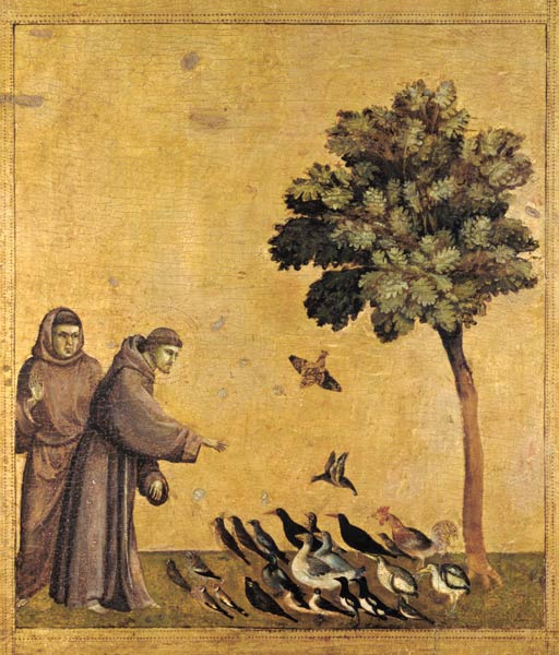 St. Francis of Assisi preaching to the birds od Giotto (di Bondone)