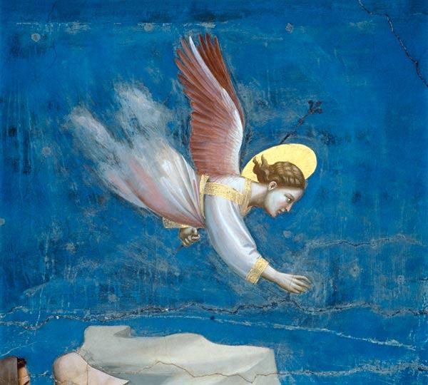Giotto / Joachim''s dream / Detail