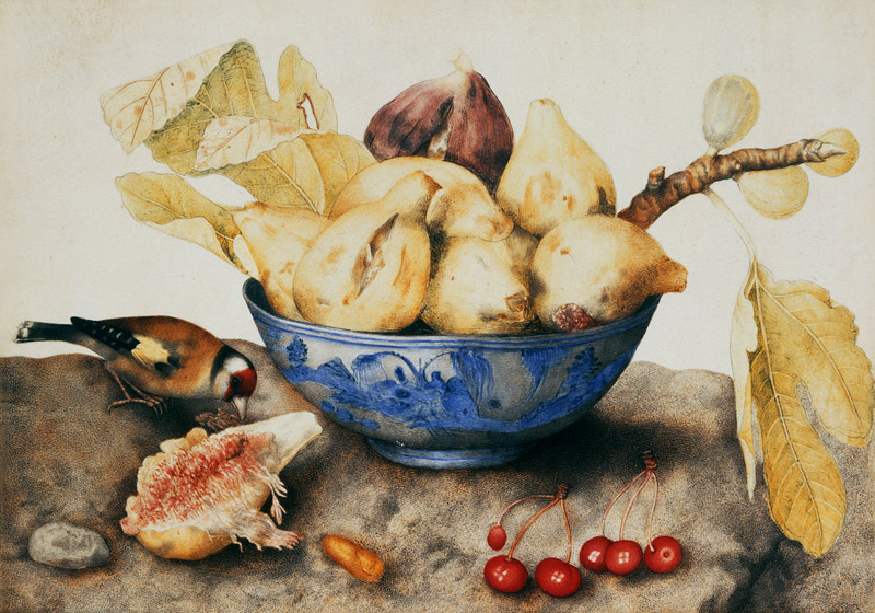 G.Garzoni / Bowl with Figs / c.1650 od Giovanna Garzoni