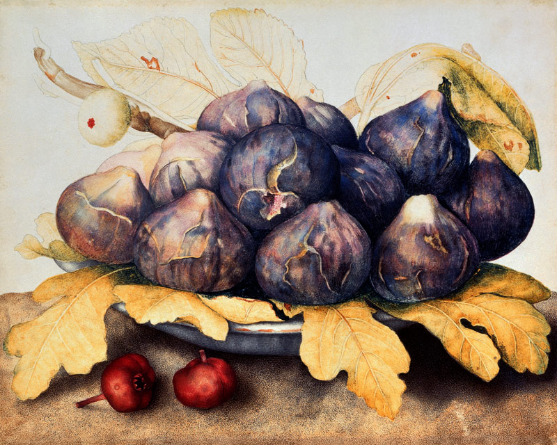 Figs od Giovanna Garzoni