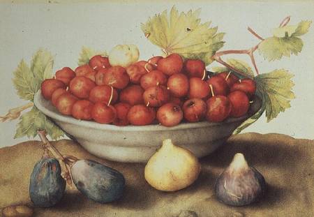 A Bowl of Cherries and Figs od Giovanna Garzoni