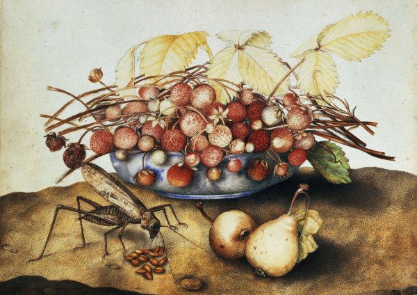 G.Garzoni, Schale mit Erdbeeren od Giovanna Garzoni