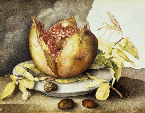G.Garzoni, Teller mit Granatapfel od Giovanna Garzoni