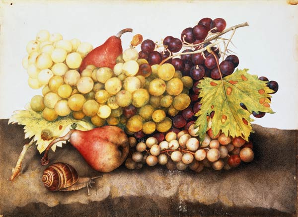 G.Garzoni / Still life with grapes. od Giovanna Garzoni