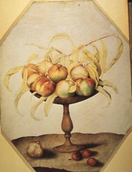 Wooden Fruit Bowl of Apples od Giovanna Garzoni