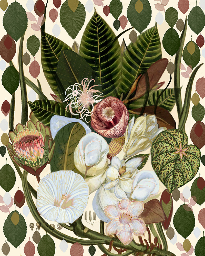 Earthy Blooms.png od giovanna nicolo