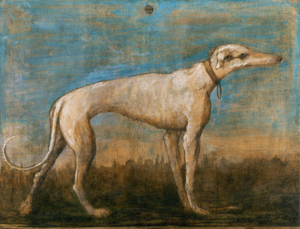 G.B.Tiepolo / Greyhound / Paint./ C18th od Giovanni Battista Tiepolo