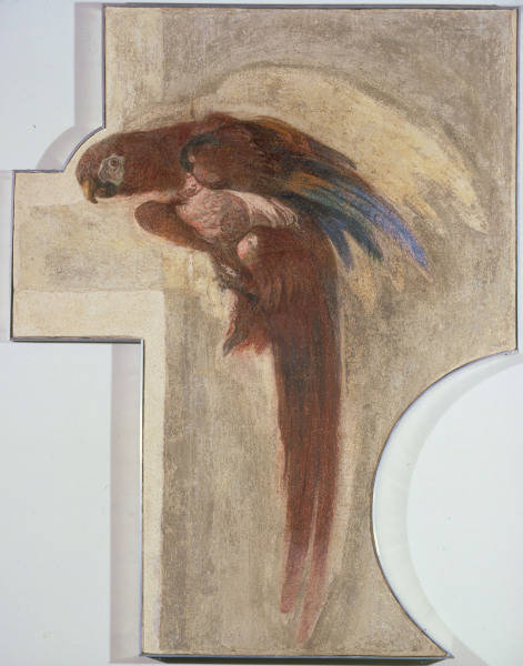 G.D.Tiepolo / Parrot / Fresco od Giovanni Domenico Tiepolo