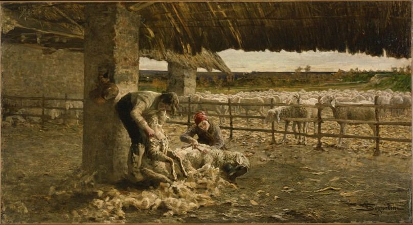 The Sheepshearing od Giovanni Segantini
