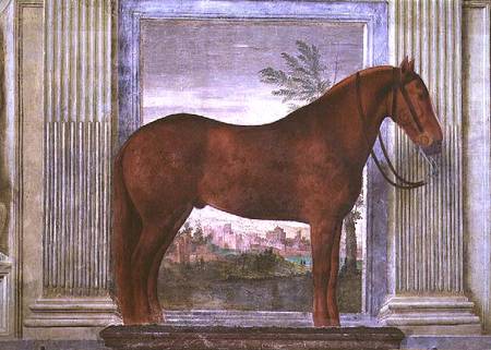 Sala dei Cavalli, detail showing a portrait of a chestnut horse from the stables of Ludovico Gonzaga od Giulio Romano