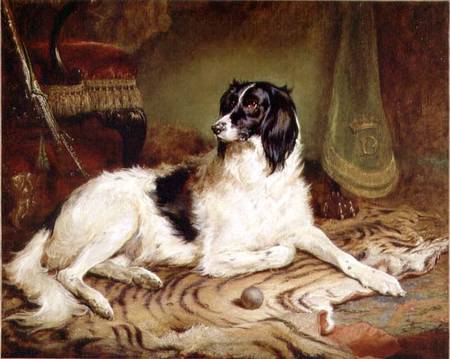 'Minna', a favourite dog of James, Marquess of Dalhousie od Gourlay Steell