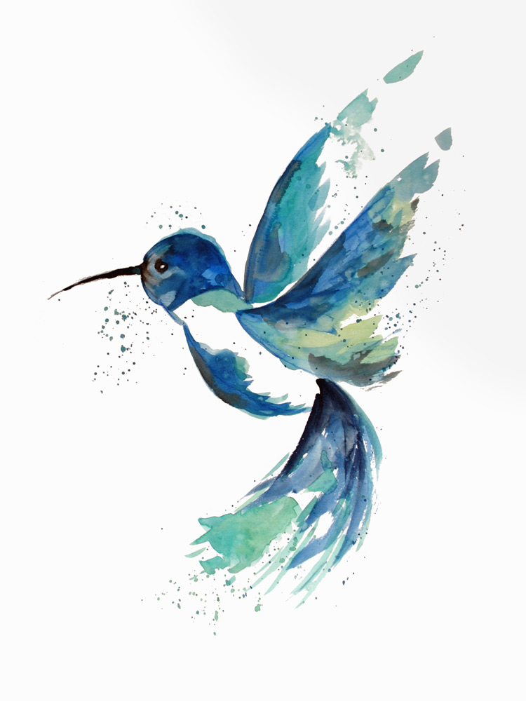 Modrý kolibřík od Sebastian  Grafmann