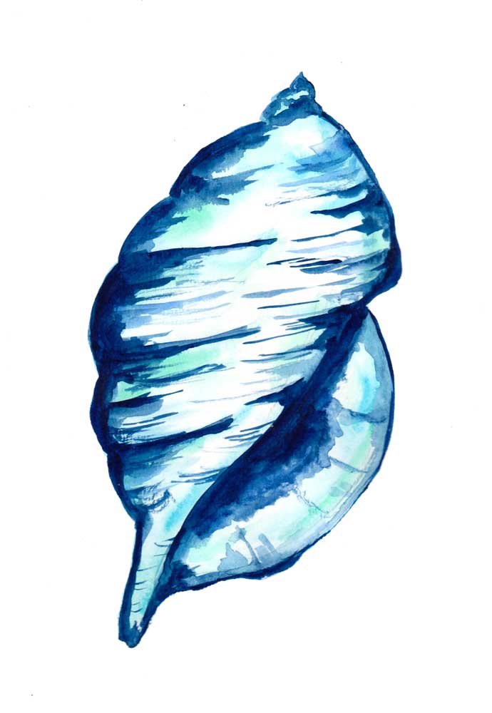 Blue Seashell od Sebastian  Grafmann