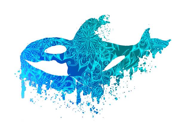 Blue Floral Orca Killerwhale od Sebastian  Grafmann