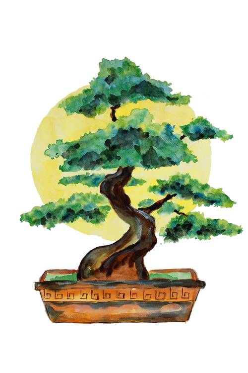 Bonsai Baum und Sonnenschein od Sebastian  Grafmann