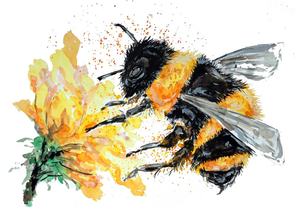 Bumble Bee Collecting Pollen od Sebastian  Grafmann