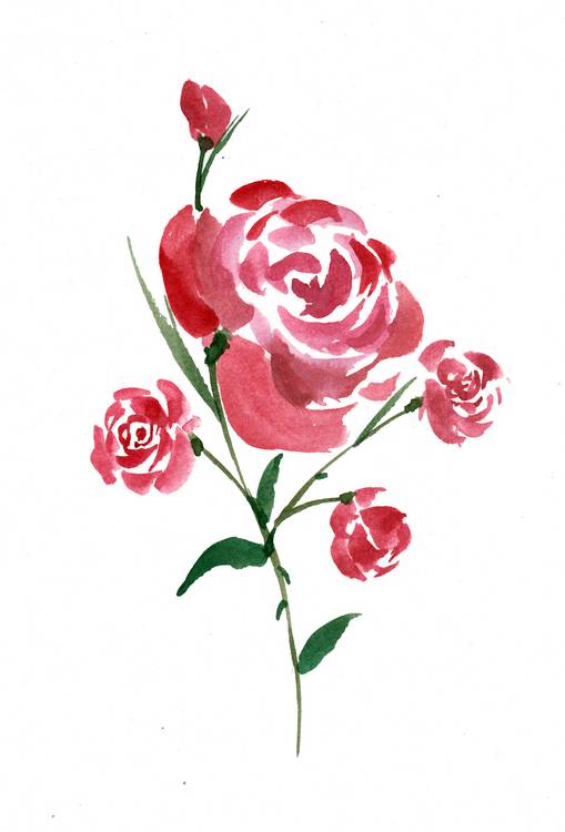 Intricate Watercolor Rose od Sebastian  Grafmann