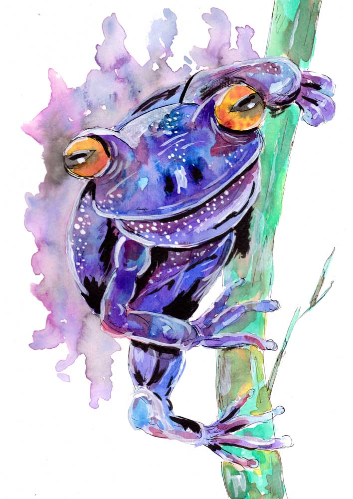 Purple Frog od Sebastian  Grafmann