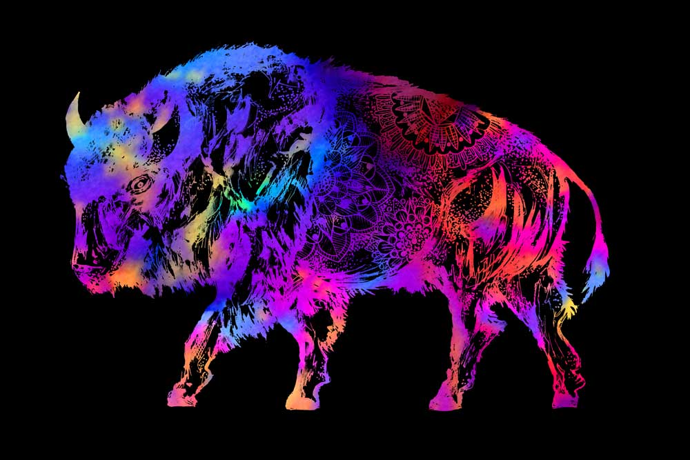 Rainbow Buffalo od Sebastian  Grafmann