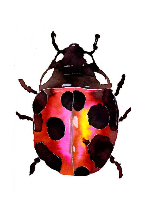 Red Ladybug od Sebastian  Grafmann