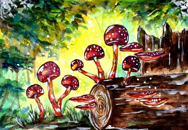 Red Mushrooms in the Forest od Sebastian  Grafmann