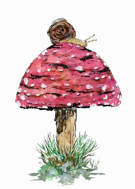 Fly Agaric Toadstool And Snail