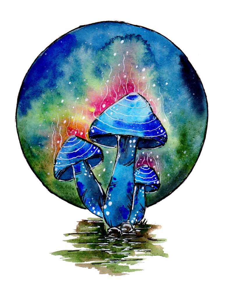 Toxic Blue Mushrooms od Sebastian  Grafmann