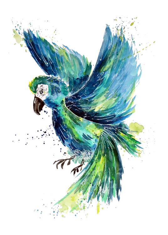 Turquoise Watercolor Parrot od Sebastian  Grafmann