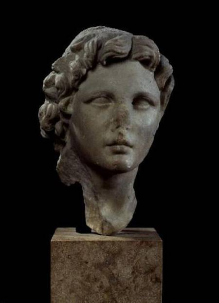 Head of Alexander the Great (356-323 BC) od Greek School