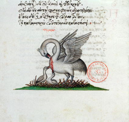 Ms 3401 A Pelican Piercing its Breast to Feed its Young, from a Bestiary by Manuel Philes, 1566 (vel od Greek School, (16th century)