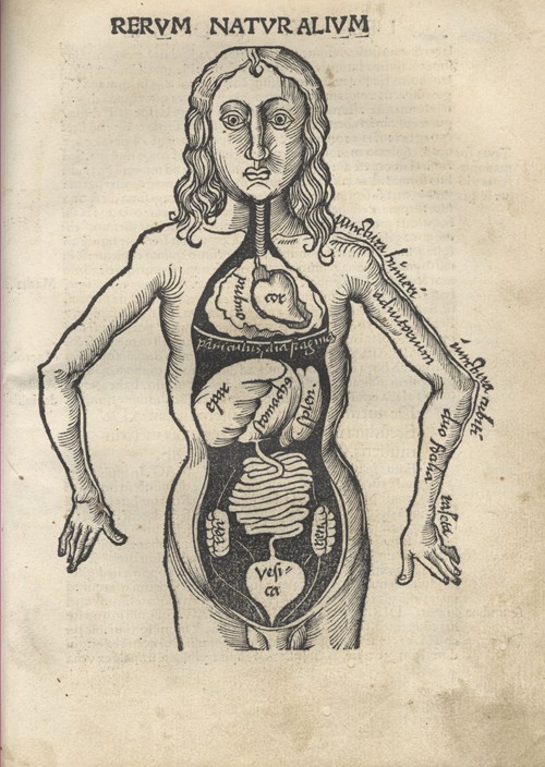 Margarita Philosophica. Anatomy od Gregor Reisch
