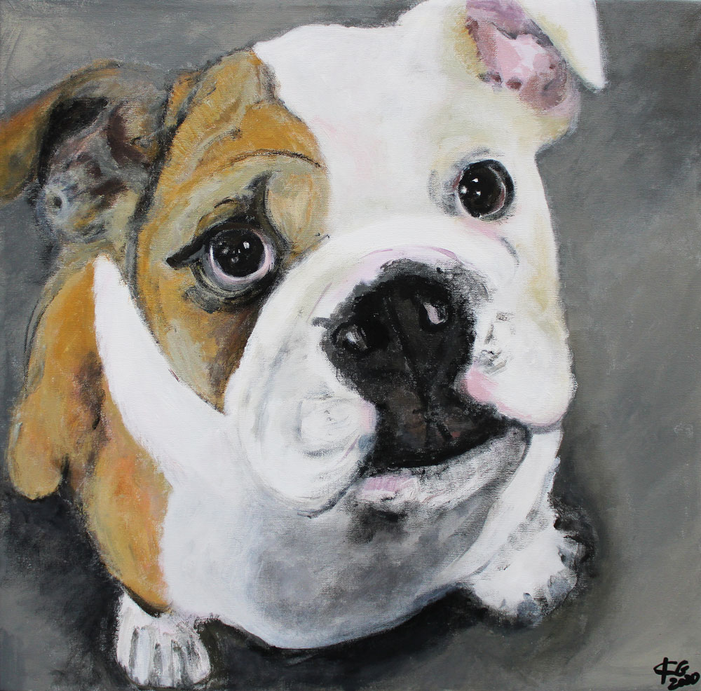 Bulldogge od Karin Greife