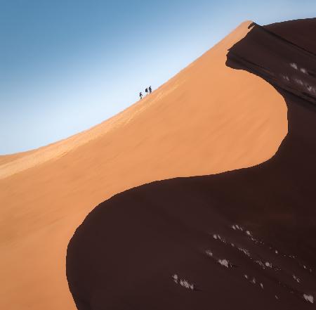 Dune Climbers