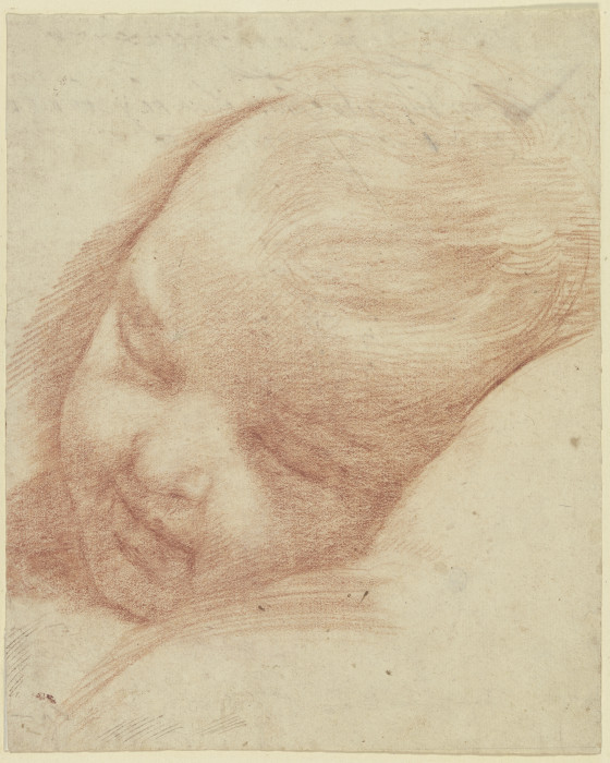 Kopf eines schlafenden Kleinkindes od Guido Reni