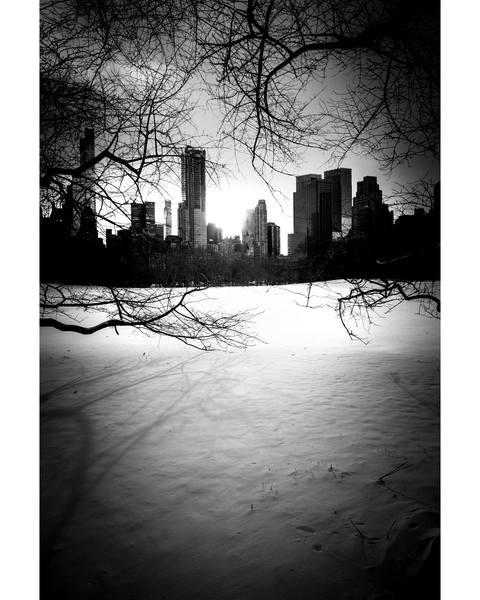 Central Park City & Trees N¬∫1 od Guilherme Pontes