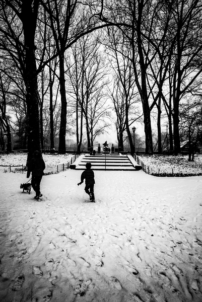Central Park Steps od Guilherme Pontes