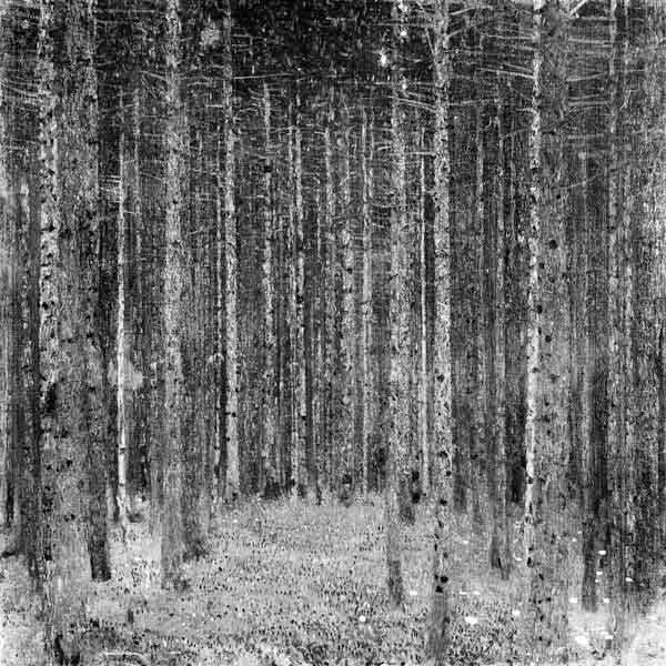 Fir Forest I od Gustav Klimt