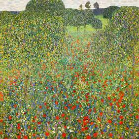 Poppy-seed meadow